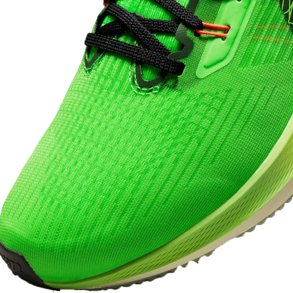 Nike Pegasus 39 Men's Road Running Shoes