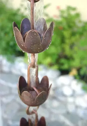 Rain Chain Lily Flower Copper Cups